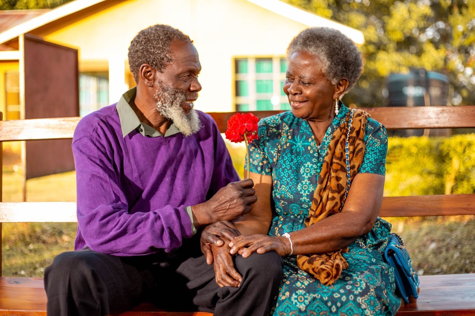 An elderly couple sits on a bench, sharing a warm moment with a red flower exchange.